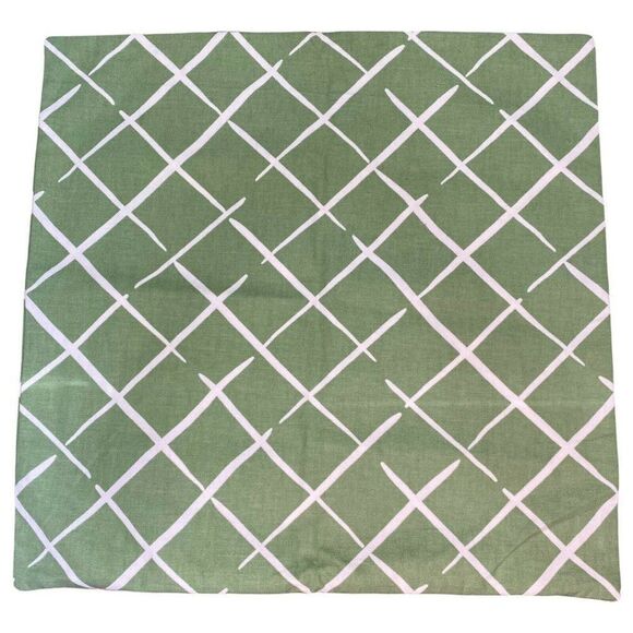 Green White Trellis Pattern Indoor Outdoor Throw Pillow Cover Thick Case 20” - Picture 2 of 5